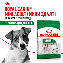 Cухой корм Royal Canin Mini Adult (МИНИ ЭДАЛТ) 8 кг